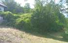 Casă bătrânească plus teren 9515 mp. Sălătrucel sat Serbănesti - 9