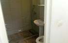 Inchiriez apartament 2 cam ultracentral (mircea stanescu) - 13