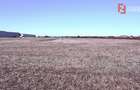 COMISION 0% Teren extravilan 40.000 mp - zona Sanandrei - 3