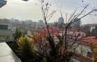 Premium penthouse for rent- Primaverii-4rooms - 8
