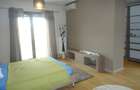 Penthouse spațios cu 3 dormitoare lângă Parcul Herăstrău - 15