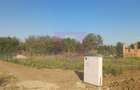 Săbăreni, lot de casă 1050 mp, curent lângă teren - 1