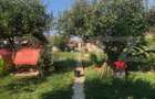 Casa de vanzare , 284 mp , zona strazii Careiului - 20