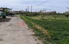 Ferma Zootehnică– Satchinez,  | 9,5 ha teren,vanzare sau schimb pentru jumatate - 1