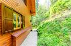 Casa 3 camere, 840 mp teren care include padure, Paltinis - 16