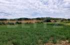 De vanzare teren Fundatura 27500mp - intravilan