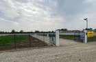 Ciolpani adiacent  DN1 parcele  teren 500 mp toate utilitati gard - 4