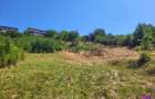 Teren Intravilan 546 mp | Panorama deosebita | PUZ in lucru - 1