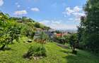 CASA SUPERBA DE LUX- SINGUR CURTE - TEREN 934 MP - 20