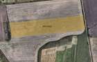 Teren Sacalaz 3,6 Ha - Pretabil PUZ Locuinte - 2