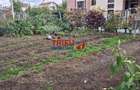 Teren de vânzare în zona centrală a orașului - 2