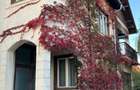  Oportunitate ideală de investiție și locuit– Casă, curte și livadă pe 1800 mp - 4