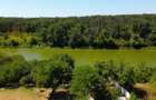 BRANESTI-VILA SUPERBISSIMA,LA LAC,PISCINA,FANTASTICA,UNICAT,700000 EURO - 20