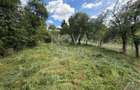 Teren intravilan  - Sat. Rod - Tilisca - 4
