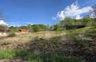 Teren Intravilan de vanzare, 900 mp, zona Valea Jelnei - 2