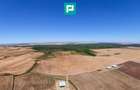 Teren intravilan agricol 558.500 mp Chevereșu Mare - 5