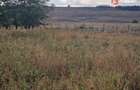 Teren intravilan de 1508 mp cu utilitati - Ianova - 7