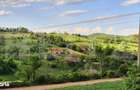 Teren intravilan de vanzare, 2962 mp, zona Sulighete, Deva - 2