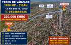 ȚICĂU / SEMICENTRAL IAȘI – OPORTUNITATE RARĂ PENTRU INVESTIȚIE ȘI DEZVOLTARE - 11