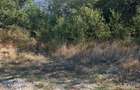 Teren intravilan 2.592 mp cu deschidere 70 ml la drum asfaltat - Budești - 2