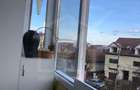Inchiriere 3 camere decomandate, Grigorescu, Piata 14 Iulie - 13