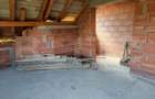 Casa 4 camere, 240 mp, teren 4000 mp, zona Pinticu - 9