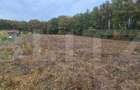 Teren intravilan parcelat - 2882 mp - Sat Bejan - 4