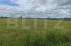 Teren extravilan, 6600 mp, Radauti