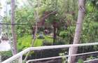 5 Rooms Duplex for rent near to the Herastrau Park - 19