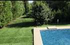 VILA IMPRESIONANTA CU ACCES LA LAC si PISCINA - 30