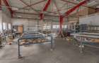 Doua hale / spatiu industrial + birouri 5000 mp / Sector 4 - 7