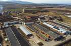 Ansamblu agrozootehnic cu renume,dotat +valoare exceptionala+potential versatil, - 12