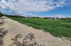 Teren intravilan 3177 mp, zona Serbanesti - 2