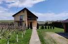 Casă mare cu teren 2600 mp în Dragomirna – garaj dublu, fotovoltaice, puț forat, - 4