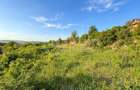Comision 0% Teren intravilan 959mp | Front 40m| Str. Viorelelor Dezmir - 1