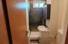 Apartament 3 Camere de Vanzare Ostirii - 12