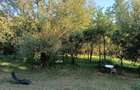 Casa noua cu teren de 3278mp Glodeni Vale-Pucioasa - 14