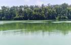 TEREN 1 880 MP IN BRANESTI | PADURE LAC | STR. SOARELUI - 2