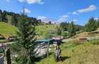 Casă / Vilă de vacanta in Dorna Arini, Suceava - 44