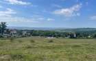 Teren intravilan 1.17ha cu panoramă superbă și PUZ aprobat – Baia Sprie - 2