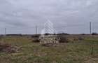 Teren intravilan 500mp Mandruloc - 4