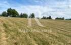 Teren Intravilan | 17.500 mp | Șinteu | Bihor - 3