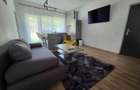 Duplex, 2 camere open space, curte, parcare, Buna Ziua, Leroy Merlyn - 7
