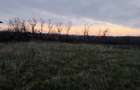 Teren extravilan, 4760 mp - zona Ghercesti - 1