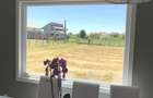 Casa de vanzare Oradea, 542 mp+ teren, 305 mp desfasurata, garaj dublu - 15