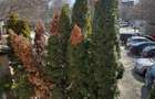 Teren perfect pentru constructie bloc. - 3