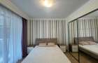 3 camere || GARAJ || AVIATIEI-HERASTRAU - 9