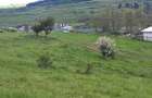 Teren de vanzare in Valcele - 6