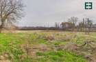Teren de 8.632 mp + Proprietate Industrială - Voiteg - Județul Timiș - 25
