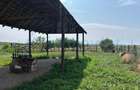 Atelier de inchiriat in localitatea Sabolciu, Bihor - 4
